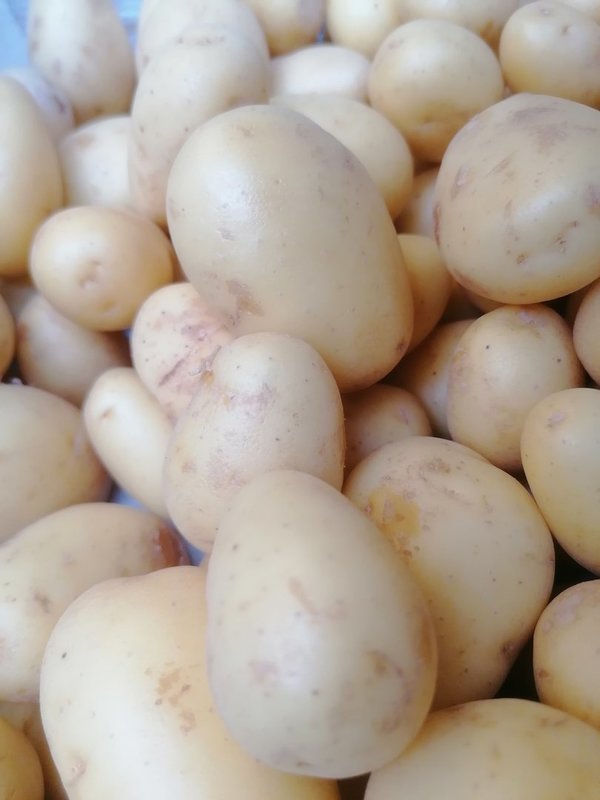 Kartoffel Brätlinge 1 kg Frankreich