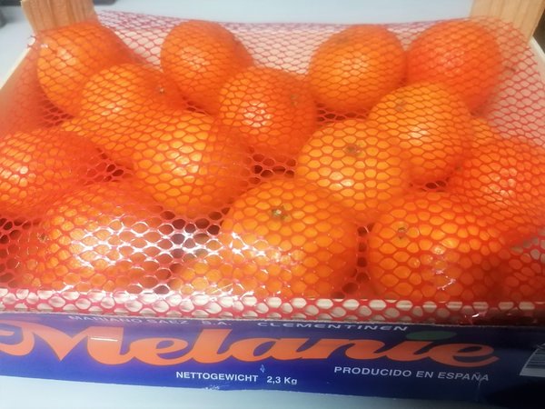Mini Clementinen 2,3 kg Kiste Spanien