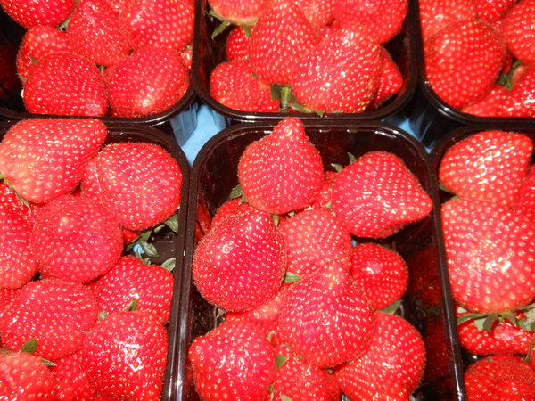 Erdbeeren 500 g Schale  Deutschland